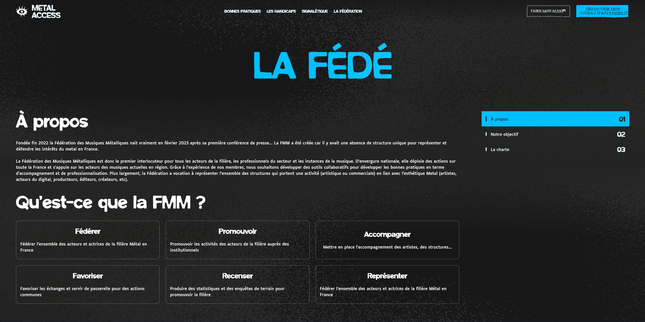 Metal Access Federation