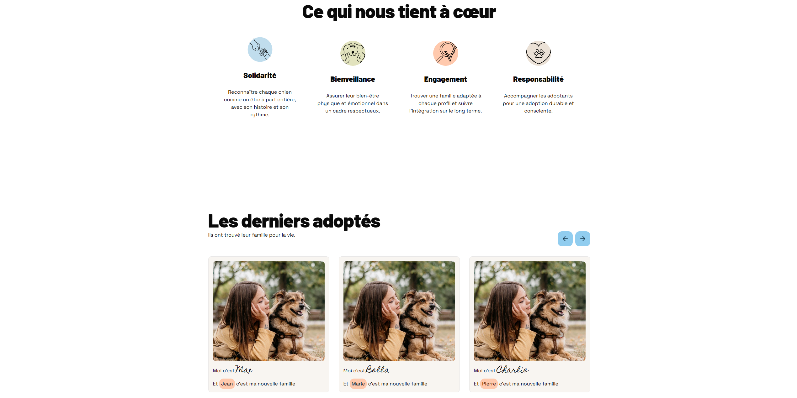 Refuge-Canin Last Adopted